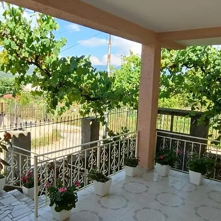 Eljos House Guest house *