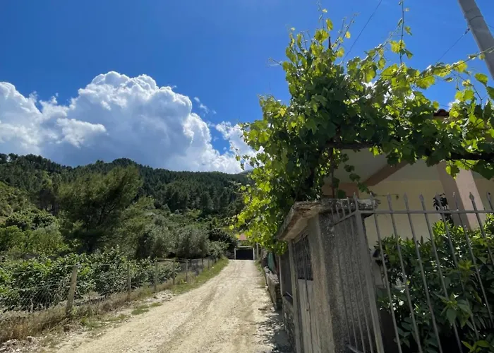 Affittacamere Eljos House