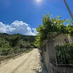 בית הארחה Eljos House