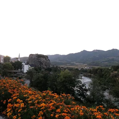 Guest house Eljos House 4*